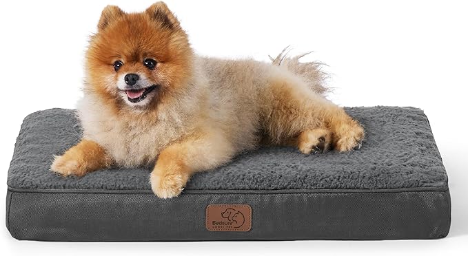 Bedsure Small Dog Bed for Small Dogs - Orthopedic Dog Beds with Removable Washable Cover, Egg Crate Foam Pet Bed Mat, Suitable for Dogs Up to 20 lbs, Oxford Fabric Bottom