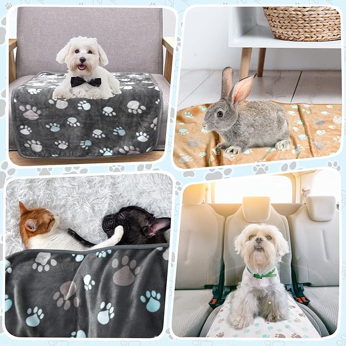 Blankets for Dogs,3 Pack Gray Dog Blanket,Washable Small Dog Blanket 30" x 20",Cute Paw Dog Blankets for Medium Dogs,Soft Fleece Blanket,Puppy Blankets for Medium,Pet Blankets for Dogs Cats