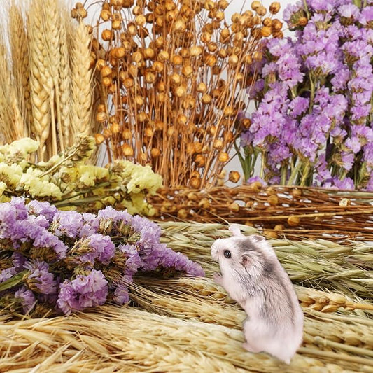 Natural Hamster Bedding, Hamster Sprays Sets and Forage, Organic Hamster Treats Chews Toys Bunny Herbs Flowers Grain Corn Seeds Sorghum Hamster Cage Accessories Enclosure Habitat Decor for Small Pets