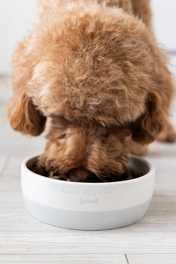 Pearhead Bone Appetit Ceramic Dog Bowl, Medium Food Or Water Bowl, Pet Dish, Microwave and Dishwasher Safe, Pet Owner Essentials, Holds 2 Cups