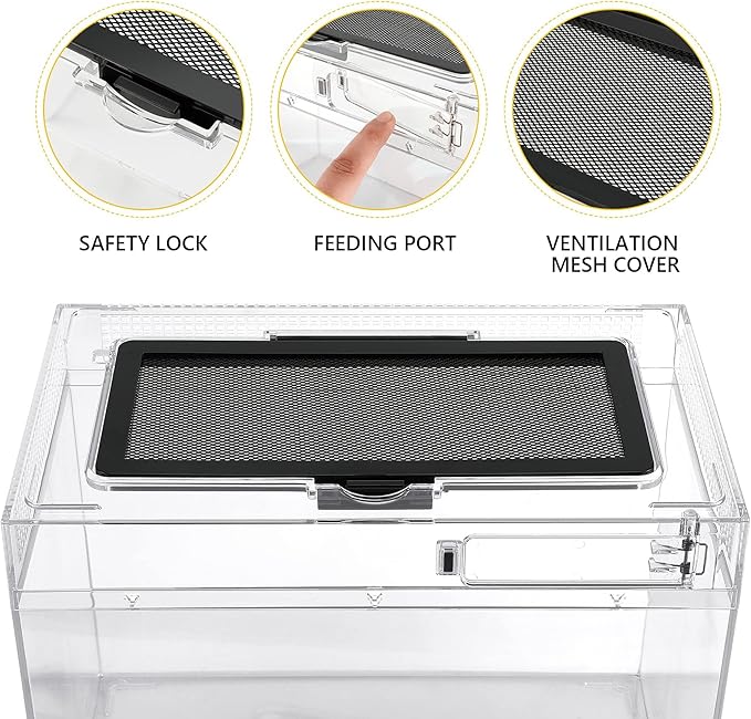 Reptile Terrarium Amphibian Tank Spider Cages Snake Cage 7x11.8x5.9inch Suitable for breeding Lizards,Turtles,Chameleons,Jumping Spiders