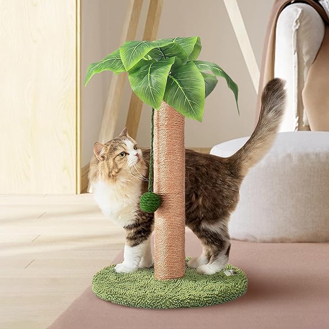 Cat Scratching Post 23.6 inch Cute Cat Scratcher Kitten Scratching Post with Sisal Rope for Indoor Cats Palm Tree Cat Scratching Post with Dangling Balls for Small Cats