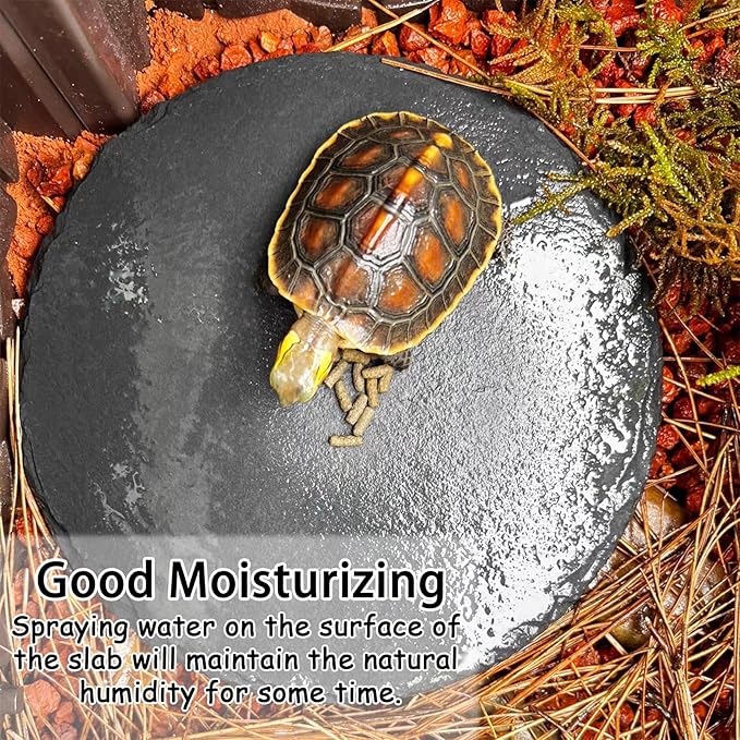 Tfwadmx Reptile Basking Platform Tortoise Feeding Dish Natural Rock Food Bowl Landscape Habitat Decor for Turtle Lizard Bearded Dragon Crested Gecko Snake 2Pcs