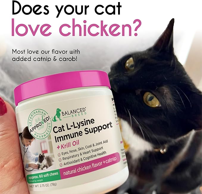 Balanced Breed L-Lysine Cats Immune Support Soft Chews Made in USA Non-GMO Vet-Pharmacist Approved Krill Oil Omega 3 Cat Vitamins Indoor Cats Supplements Asthma Relief Cat Lysine Allergy Relief 60 ct.