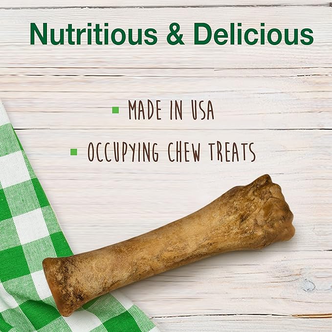 Nylabone Healthy Edibles Natural Dog Chews Long Lasting Bacon Flavor Treats for Dogs, X-Large/Souper (1 Count)