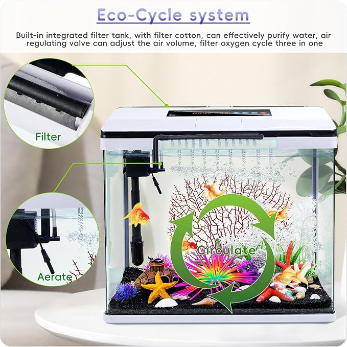 10 Gallon Glass Aquarium Fish Tank Starter Kit with Temperature and Time Display for Betta Fish Featuring Crystal Clear 360° Viewing, Eco-Cycle Filtration, Air Pump