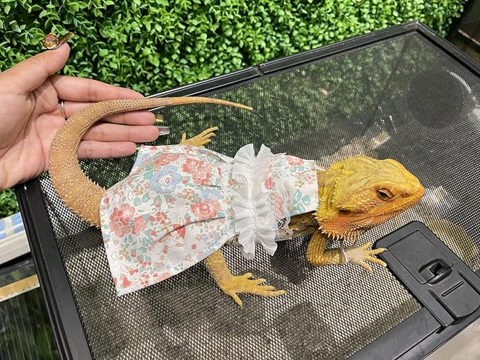 Lizard Dress for Bearded Dragon - Handmade Cotton Tutu Skirt with Lace Princess Sundress Halloween Costume Photo Cosplay Party for Reptile Lizard Bearded Dragon Crested Gecko Chameleon (M, Pink)