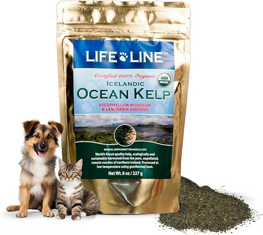 Life Line Pet Nutrition Organic Ocean Kelp Supplement for Skin & Coat, Digestion in Dogs & Cats, 8oz (20200)