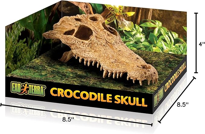 Exo Terra Terrarium Decor Croc Skull LQ, for Reptile and Amphibians