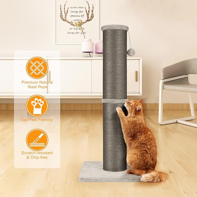 Cat Scratching Post 32 Inch High, 5.5 Inch Large Diameter Natural Sisal Cat Scratch Post, Scratch-Resistant and Durable Tall Cat Scratcher for Indoor Cats, Protect Your Furniture, Gery
