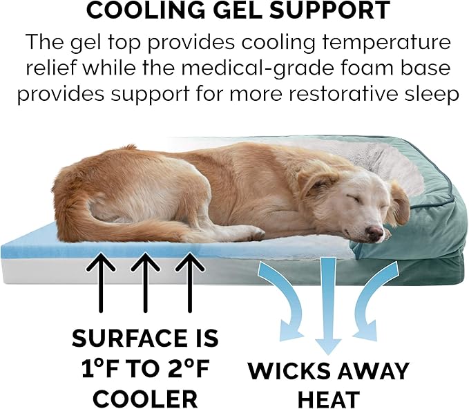 Furhaven Cooling Gel Dog Bed for Medium/Small Dogs w/ Removable Bolsters & Washable Cover, For Dogs Up to 35 lbs - Plush & Velvet Waves Perfect Comfort Sofa - Celadon Green, Medium