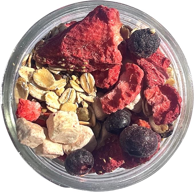 Fruity Breakfast Blend Hermit Crab Dry Food - High Protein & Nutrient Blend Diet of Rolled Oats, Blueberries, Strawberry, Banana, Sprouted Seeds Mix - Aquatic Pet Snack Treat | 65g
