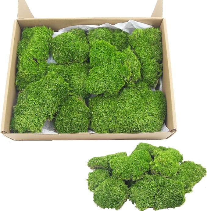 FAICOIA Preserved Pillow Moss Bulk Green Moss Balls for Bowls Natural Green Decorative 1.29 sq.ft Preserved Pole Moss Pillow for Wall Art Terrariums Crafts Fairy Gardens Pot Plants Easter Table Decor