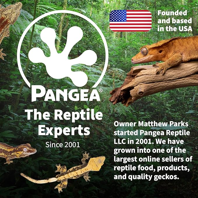 Pangea Microdish Branch & Surface Mount Kit for Gecko Feeding (L Branch Mount)