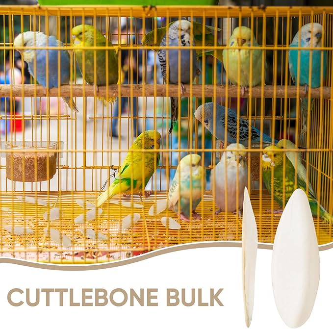 50 Pcs Cuttlebone for Birds Chewing Cuttlefish Bone for Sharp Beaks Birds Calcium Natural Cuttlebone for Birds, Tortoises, Snails, Reptiles, Cockatiels