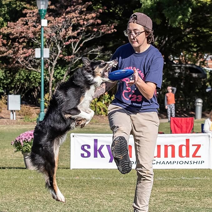 Hyperflite Pup Jawz dog flying disc • world's toughest canine competition-approved flying disc • best competition flying disc toy for pets • puncture resistant • 7 Inch • Blueberry