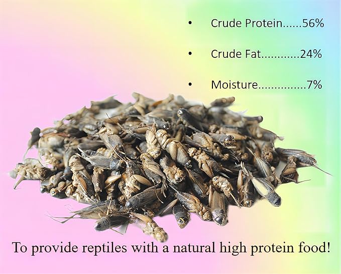 3.5oz Freeze-Dried Cricket – High Protein Reptile & Amphibian Food for Healthy Pets，Suitable for birds, fish, hedgehogs, bearded dragons, lizards