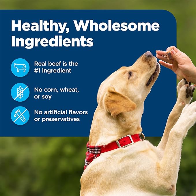 Blue Buffalo Nudges Bite-size Chewy Dog Treats with Real USA Beef, Made with Natural Ingredients, Great for On-the-Go, 5.5-oz. Container