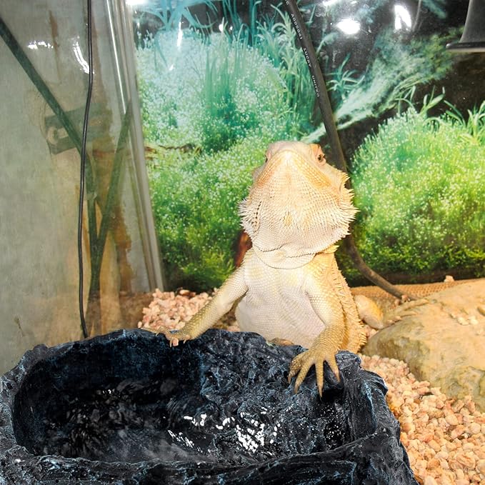 Reptile Bowl - 2Pcs Reptile Water Dish with Feeding Tongs Reptile Feeding Reptile Feeding Bowls Reptile Water Bowl Reptile Food Dish for Lizard Tortoise