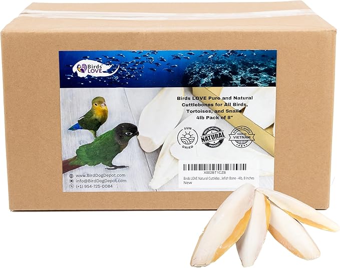 Birds LOVE Natural Cuttlebone – Premium Calcium for Cockatiel, Parrots, Tortoise, Snails, Crabs and Chinchillas - Pure Cuttlebone for Birds - Parakeet Food and Bird Treats - 4lb, Size 7.5 to 8"