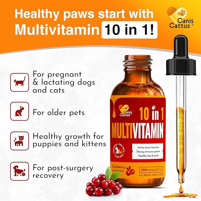 Dog and Cat Antibiotic | Dog Vitamins and Supplements | Antibiotics for Dogs | Cat Multivitamin | Antibiotics for Cats | Natural Antibiotics for Cats and Dogs | Bundle x 2 oz