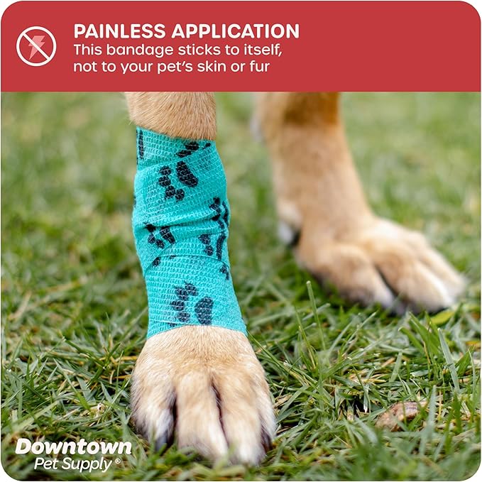 Cohesive Vet Wrap for Dogs, Self Adhesive Bandages in Bulk, Pet Cat Wound Care, Gauss Bandage for Horses by Downtown Pet Supply (Rainbow Camo, 10 Pack)