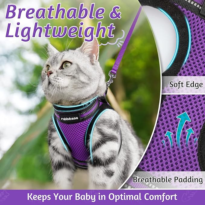 rabbitgoo Cat Harness and Leash Set for Walking Escape Proof, Adjustable Soft Kittens Vest with Reflective Strip for Cats, Comfortable Outdoor Vest, Purple, L