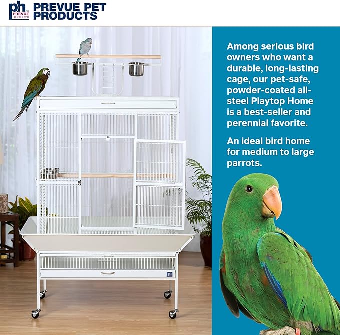 Prevue Pet Products Wrought Iron Select Bird Cage 3154C, Chalk White, 36-Inch by 24-Inch by 66-Inch