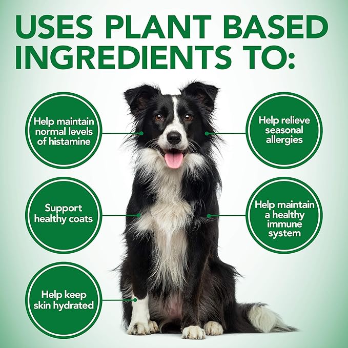 Vet's Best Healthy Coat Shed & Itch Relief Dog Supplements | Relieve Dogs Skin Irritation & Veterinary Formula Clinical Care Antiparasitic & Antiseborrheic Medicated Dog Shampoo