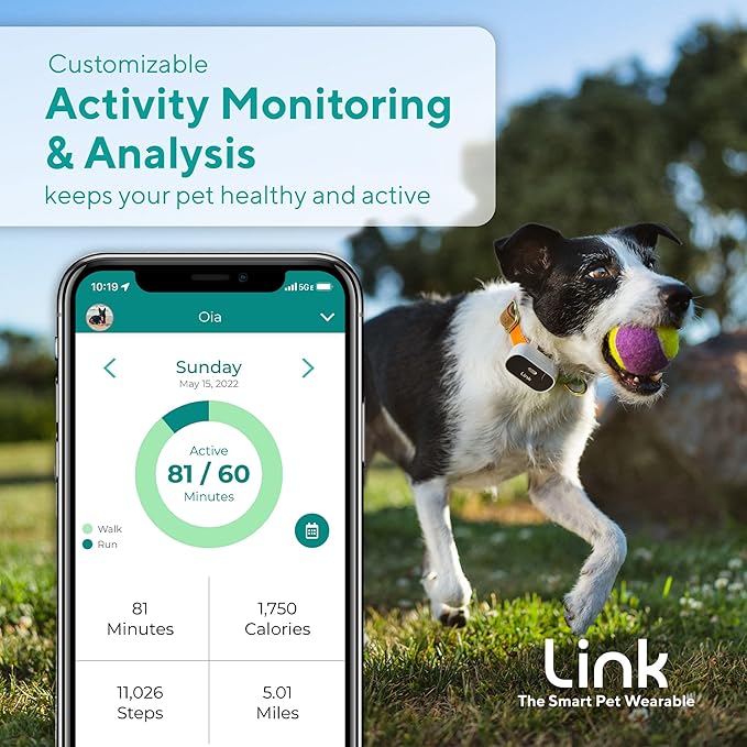 Link GPS Dog Tracker + Activity Monitor | Training Tools, Health Tracker, Waterproof, Flashlight, Lightweight, PetPass & Vet Record Storage, Fits On Most Collars | iPhone & Android Apps