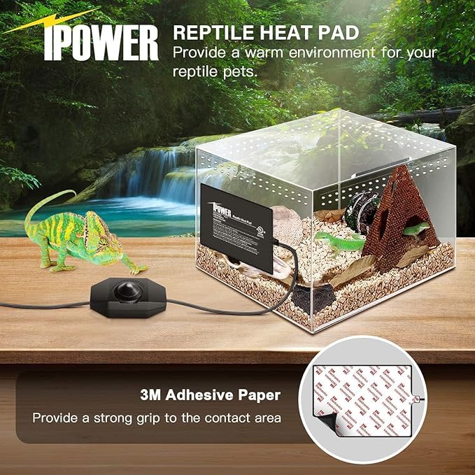 iPower 6 by 8-Inch Reptile Heat Mat with Temperature Adjustable Controller Knob, LCD Digital Aquarium Thermometer, Under Tank Warmer Terrarium Heat Pad for Reptiles and Amphibians