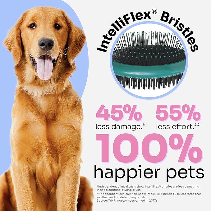 Wet Brush Ultimate Grooming Pet Brush, 2-in-1 Dual Sided Detangling Pet Brush - Ultra Soft IntelliFlex Bristles Removes Loose Hair & Dirt - Pet Grooming Detangler Brush for Dogs, Cats, Rabbits - Teal