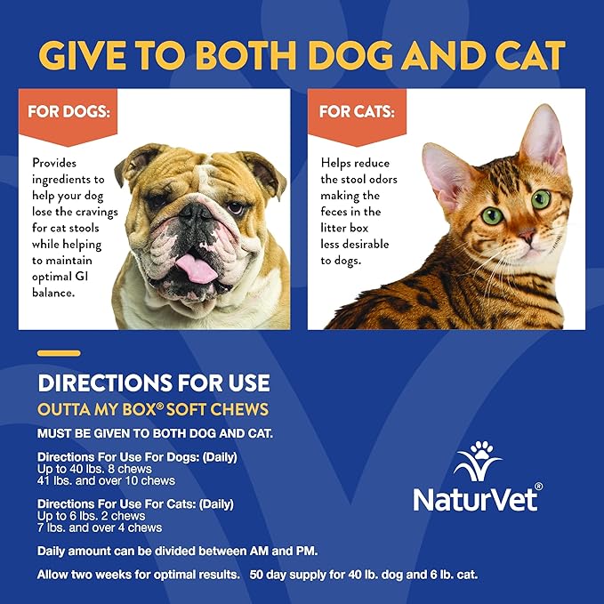 NaturVet – Outta My Box – 500 Soft Chews – Deters Dogs from Eating Cat Stools – Reduces Cat Stool Odors – For Dogs & Cats – 50 Day Supply