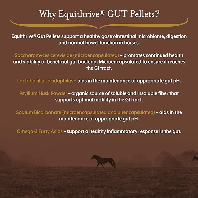 Equithrive Horse Gut Pellets with Probiotics, Psyllium Husk Powder, Sodium Bicarbonate and Omega 3 Fatty Acids, Digestive Support Supplement for Horses, 10 lbs