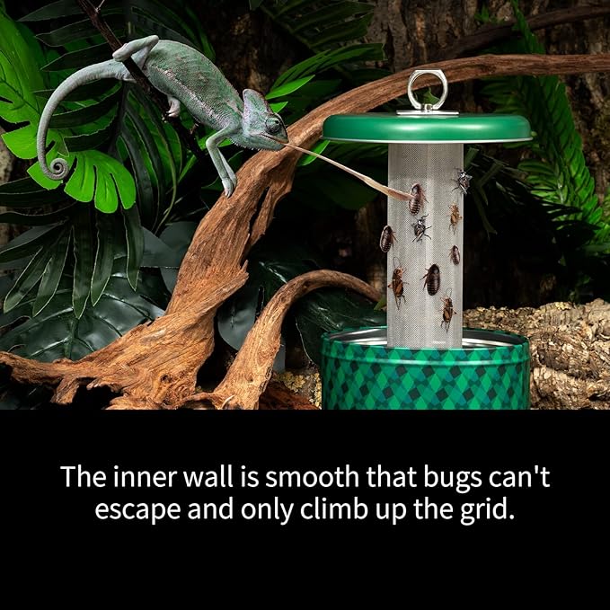 Chameleon Feeding Bowl, Climble Chameleon CageAccseeories Feeder, Fit for Lizard, Gecko, Beared Dragon,Frog, Terrarium and Greenhouse