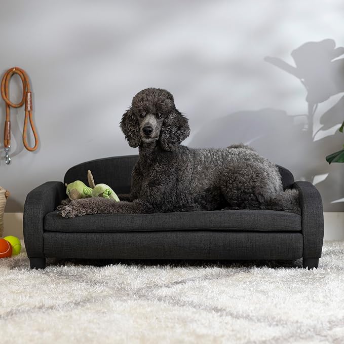 Paws & Purrs Modern Pet Sofa 41.5" Wide for Large Dog with Removable/Washable Mattress Cover, Dark Gray