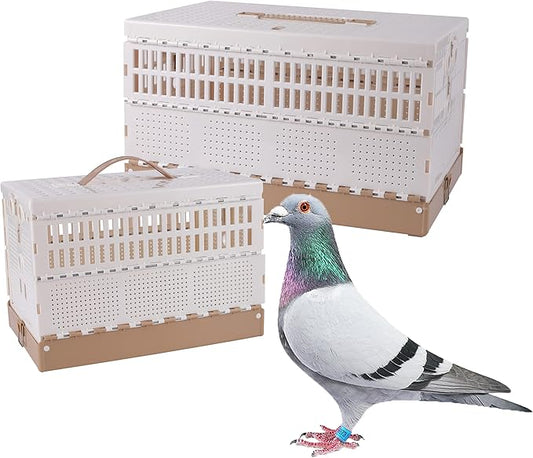 Plastic Folding Pigeon Cage, Portable Pet Bird Travel Cage Carrier Pigeon Cage Pairing Cage Pigeon Nest Box Easy to Clean for Training and Release Competition (M)（Three Doors）