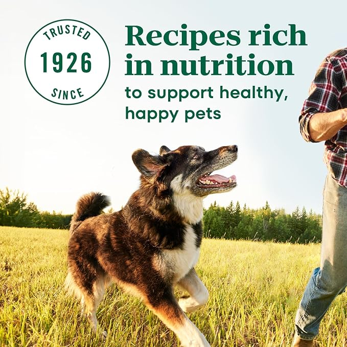 Nutro Max Adult Large Breed Dry Dog Food with Farm-Raised Chicken, 36 lb. Bag