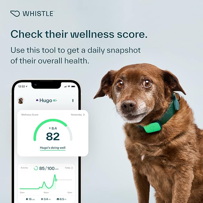 Whistle Health Smart Device | Dog Health and Fitness Tracker | Track Scratching, Licking, Drinking, Eating, Sleeping, and Activity, Green