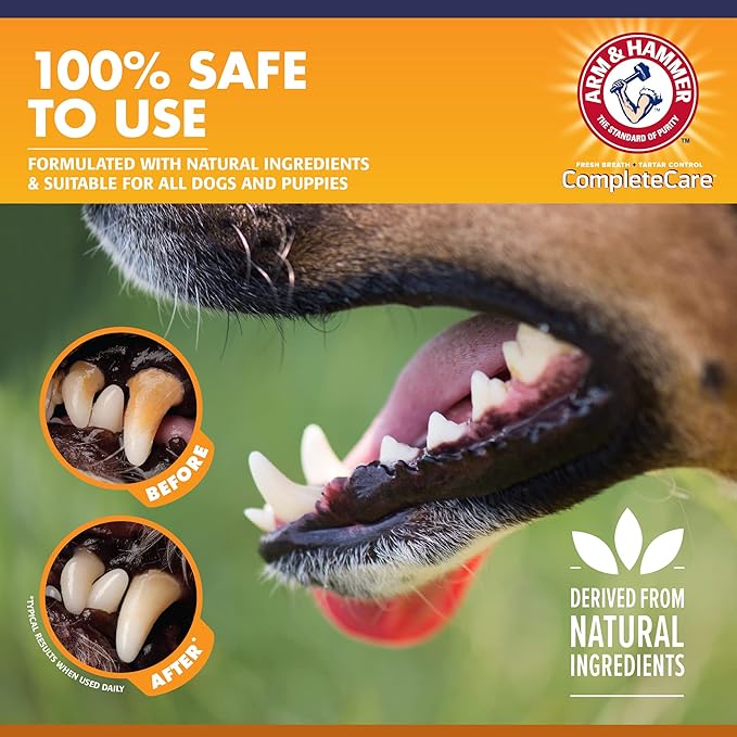 Arm & Hammer Complete Care Enzymatic Dog Toothpaste, 6.2 oz - Dog Toothpaste for Puppies and Adult Dogs, Arm and Hammer Toothpaste for Dogs - Pet Toothpaste, Dog Dental Care and Clean Dog Teeth