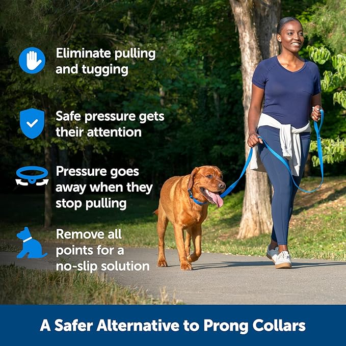 PetSafe Soft Point Training Collar - Helps Stop Pulling - Safer Than Prong or Choke Collars - Teaches Better Leash Manners - No Pull Training Collar with Rubber Points for Dogs - Medium, Black