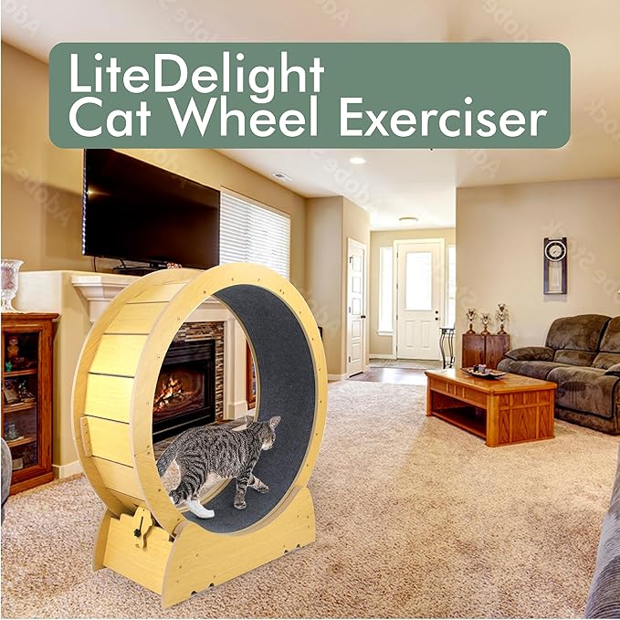 Cat Wheel Exercise Cat Treadmill for Fitness Weight