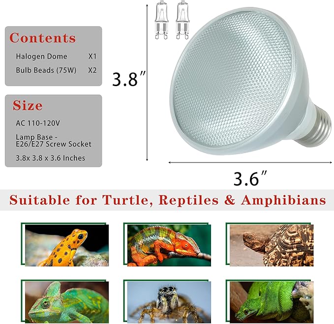 Reptile Heat Lamp Bulb Greenhouse Warming Bulb Reptile Light for Lizard, Turtle, Bearded Dragon, Hedgehogs, Snake Amphibians, Chicks, With 2 Bulb Beads (75 Watt). New Replaceable Bulbs Design