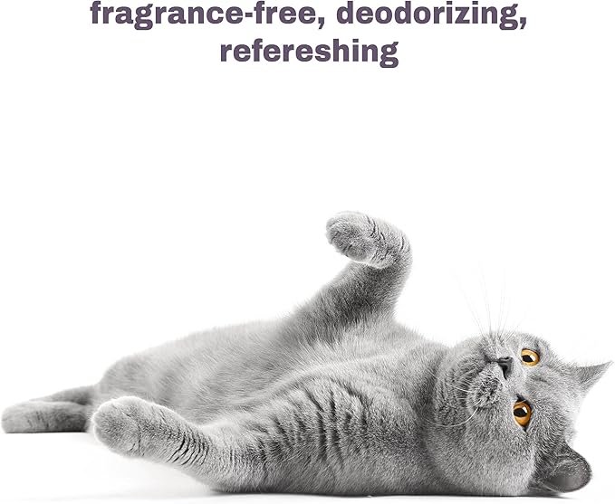 Soothing Hypoallergenic Cat Shampoo – Easy at-home Cat Grooming | Deodorizes | Gentle & Anti-itch | Natural & Allergy-safe Cat Shampoo Sensitive Skin – Fragrance Free | 9 fl oz