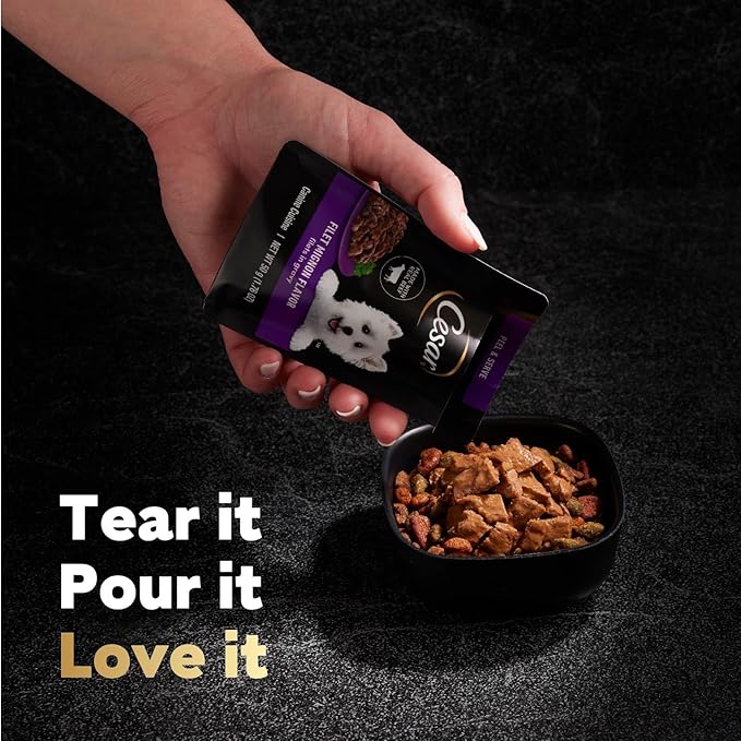 Cesar Filets in Gravy Wet Dog Food Filet Mignon Flavor, Rotisserie Chicken Flavor, and Wood-Grilled Chicken Flavor Variety Pack, 1.76 oz. Mini-Pouches, 40 Pack