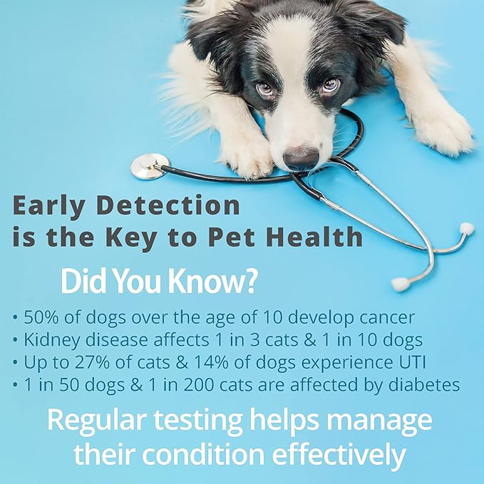 10-Parameter Cat & Dog Urine Test Strips 60ct, Cat & Dog UTI Test Kit, Diabetes Testing for Diabetic Pets, Urinalysis Reagent Strips: Glucose, Specific Gravity, pH, Ketone, Protein & More.