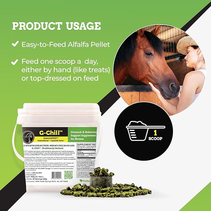 G-Chill All-Natural Digestive Health Support for Horses - 30 Servings - Promotes Stomach & Hindgut Health, Aids in Gastric Ulcer Relief, Enhances Collagen & Fibronectin Production for Tissue Repair