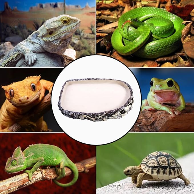 Tfwadmx Reptile Water Bowl Reptile Feeding Dish Reptile Feeder Food and Water Bearded Dragon Food Dish for Lizard Turtle Frog Leopard Gecko Snake Chameleon