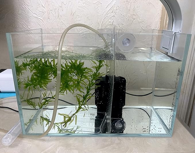 Small Nano Tall Rimless Tank, Small Glass Fish Tank, Small Betta Fish Tank, Small Aquarium, min Aquarium, Betta Tank (2.85 Gallon 11.8x6.7x7.8inch/30x17x20cm)