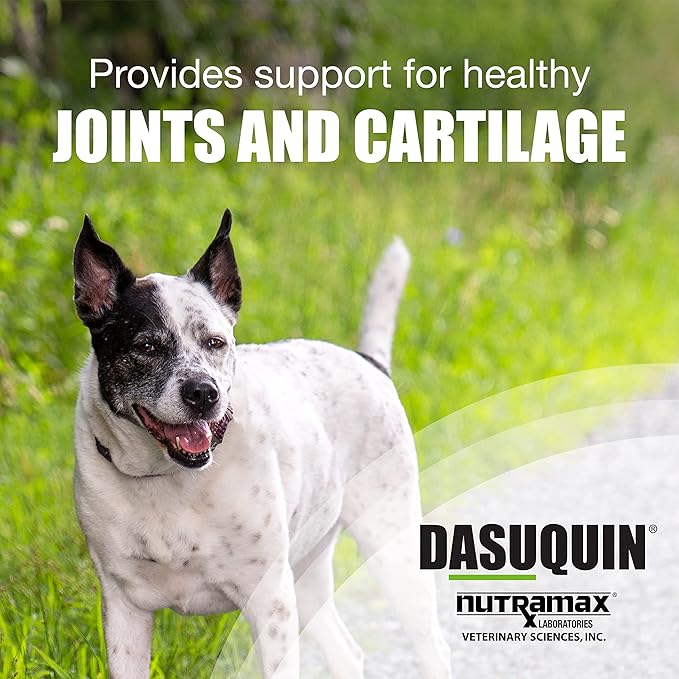 Nutramax Laboratories Dasuquin Joint Health Supplement for Large Dogs - With Glucosamine, Chondroitin, ASU, Boswellia Serrata Extract, and Green Tea Extract, 84 Chewable Tablets